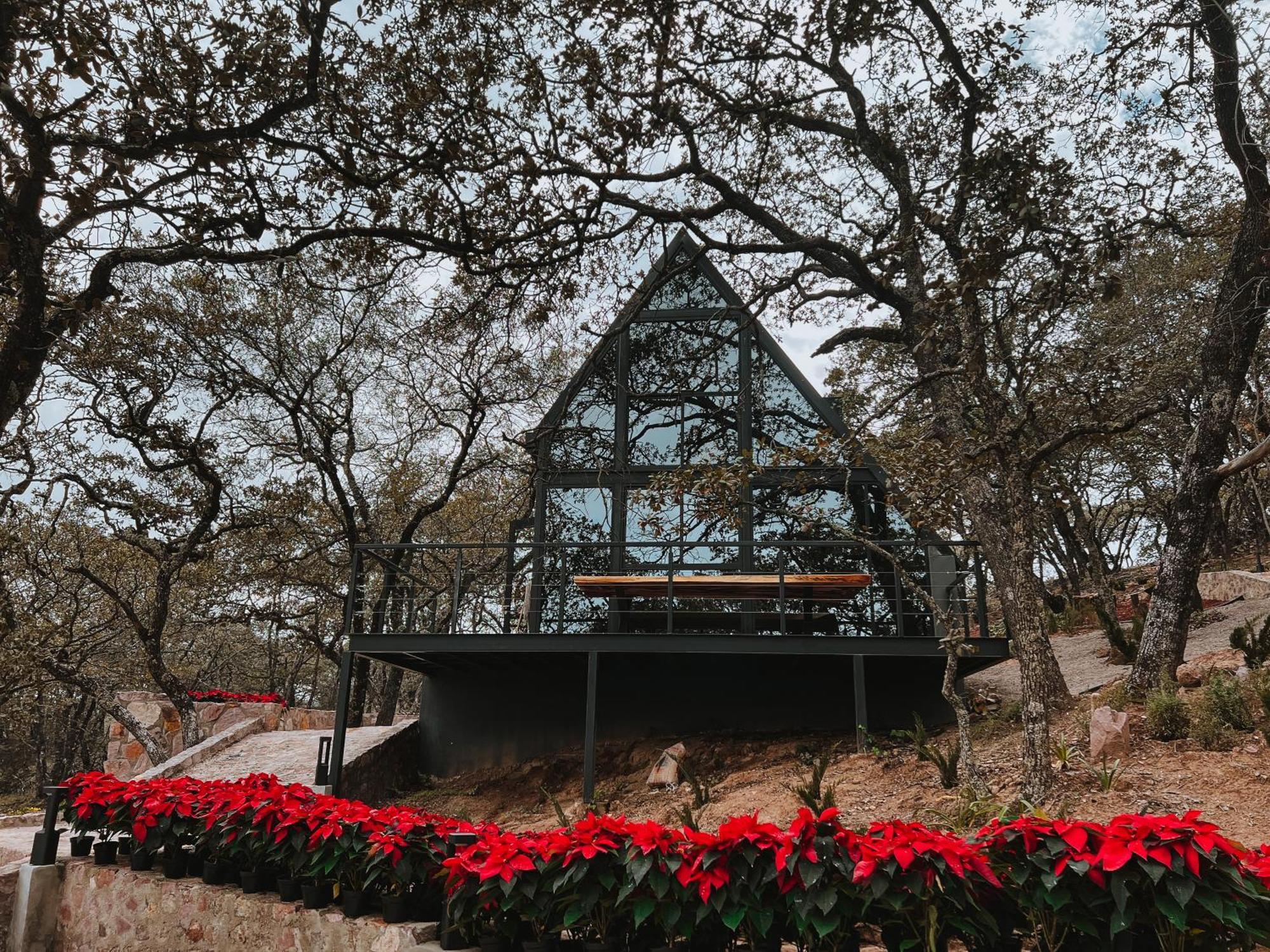 La Foret Cabanas Boutique Леон Экстерьер фото